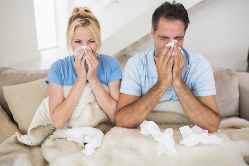 Prevent Indoor Allergies | Improve Indoor Air Quality |Anytime HVAC